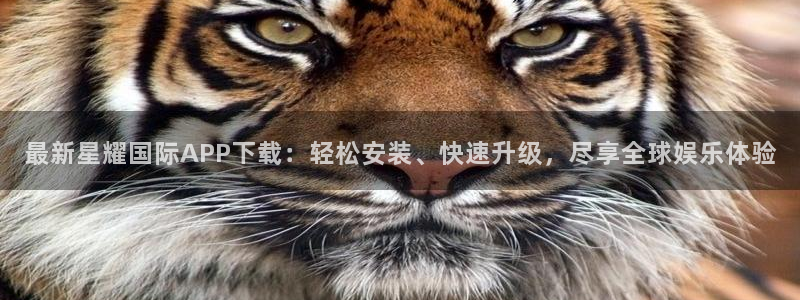 彩虹多多试机号走势图表