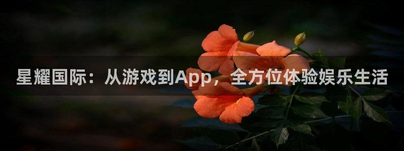 电脑版彩虹多多