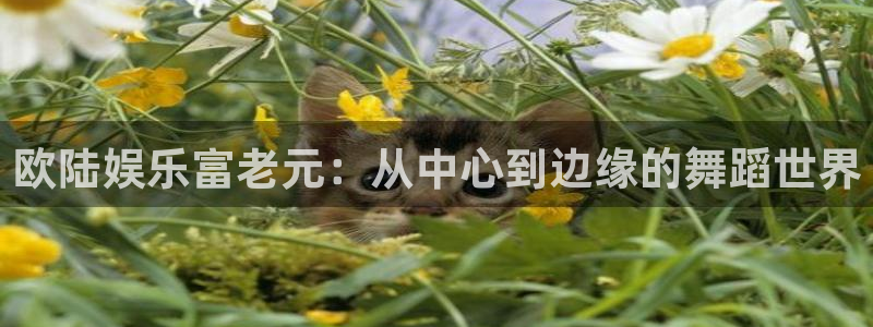 彩虹多多app官网下载