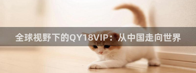 彩虹多多免费版