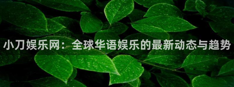 彩虹多多下载app