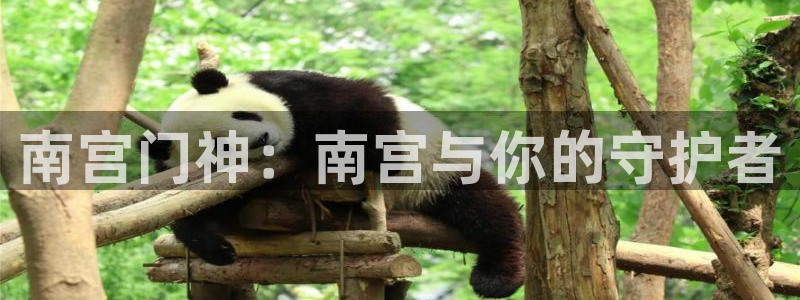 彩虹多多是什么软件