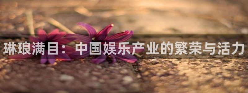 彩虹多多极速版app下载