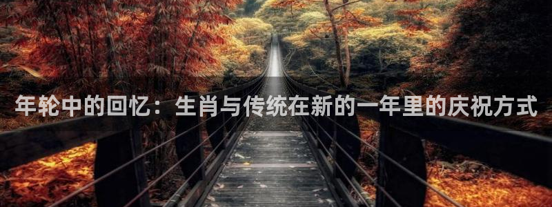 彩虹多多ios版更新时间
