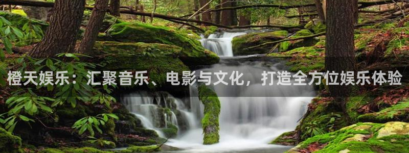 彩虹多多专享版破解版