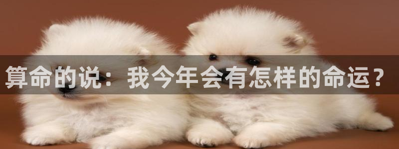 彩虹多多官网