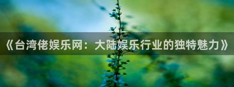 彩虹多多彩虹号.