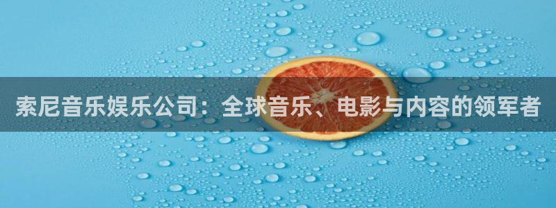 彩虹多多电脑版：索尼音乐娱乐公司：全球音乐、电影与内容的领军者