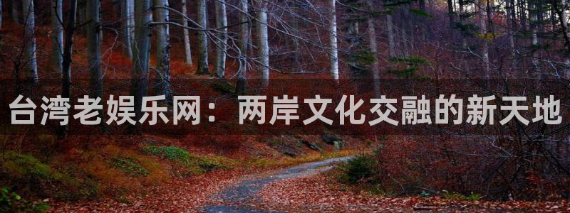 帮我下载彩虹多多：台湾老娱乐网：两岸文化交融的新天地
