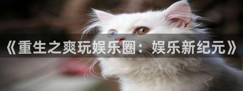 下载彩虹多多：《重生之爽玩娱乐圈：娱乐新纪元》