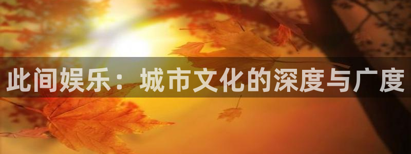 彩虹多多彩虹号：此间娱乐：城市文化的深度与广度
