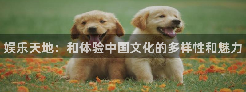 彩虹多多极速版app下载：娱乐天地：和体验中国文化的多样性和魅力