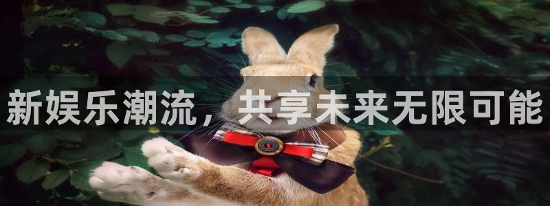 彩虹多多安卓：新娱乐潮流，共享未来无限可能