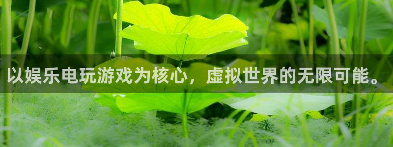彩虹多多下载链接：以娱乐电玩游戏为核心，虚拟世界的无限可能。