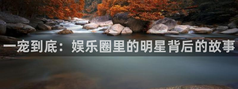 苹果怎么下载彩虹多多：一宠到底：娱乐圈里的明星背后的故事