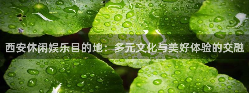 怎么删除彩虹多多：西安休闲娱乐目的地：多元文化与美好体验的交融
