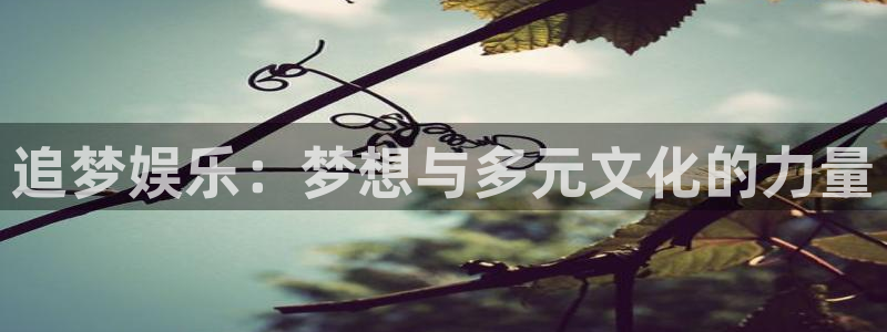 2025彩虹多多免费版：追梦娱乐：梦想与多元文化的力量