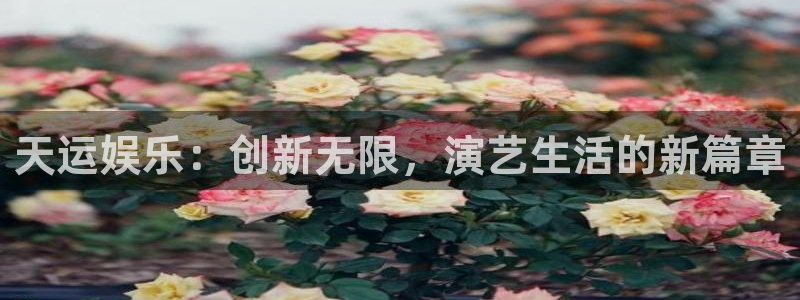 彩虹多多试机号：天运娱乐：创新无限，演艺生活的新篇章
