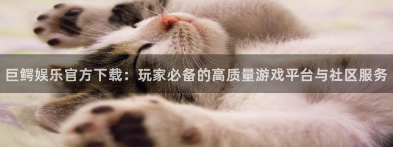 彩虹多多官方版下载：巨鳄娱乐官方下载：玩家必备的高质量游戏平台与社区服务