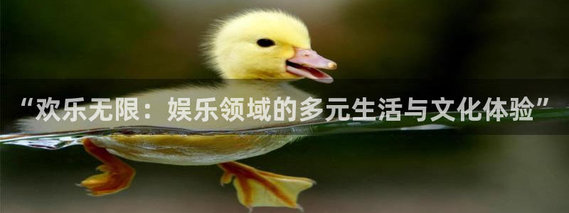 彩虹多多专享：“欢乐无限：娱乐领域的多元生活与文化体验”