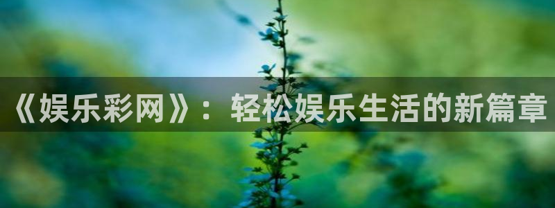 彩虹多多走势图旧版：《娱乐彩网》：轻松娱乐生活的新篇章