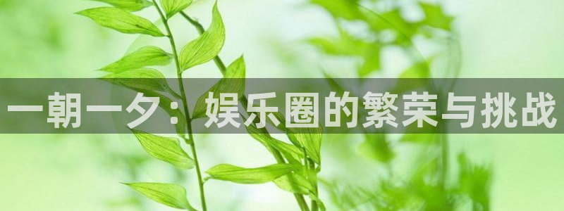 彩虹多多是什么软件：一朝一夕：娱乐圈的繁荣与挑战