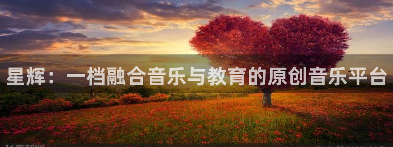 彩虹彩虹多多专家推荐：星辉：一档融合音乐与教育的原创音乐平台