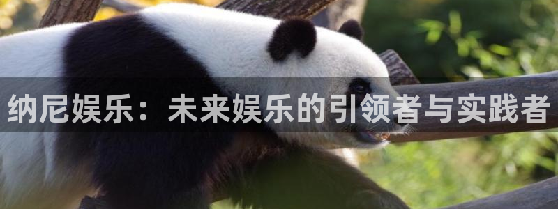彩虹多多鸿蒙最新版本：纳尼娱乐：未来娱乐的引领者与实践者