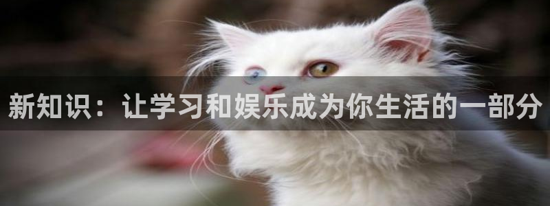 彩虹多多最新版下载：新知识：让学习和娱乐成为你生活的一部分