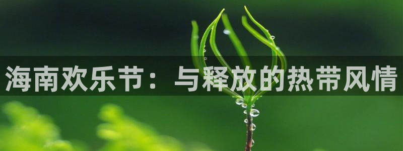 下载彩虹多多软件：海南欢乐节：与释放的热带风情