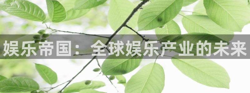 /彩虹多多：娱乐帝国：全球娱乐产业的未来