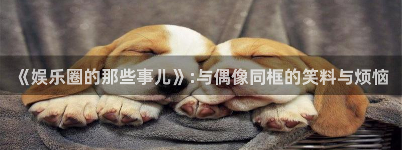 正版彩虹多多安卓下载：《娱乐圈的那些事儿》:与偶像同框的笑料与烦恼
