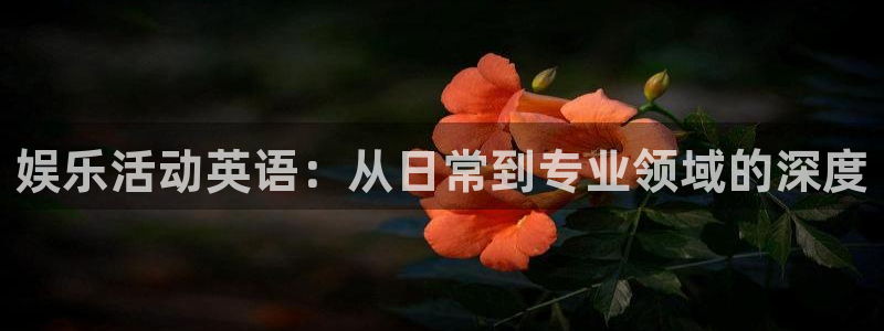 彩虹多多1.9.8版本下载：娱乐活动英语：从日常到专业领域的深度